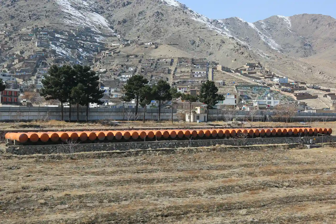 Border Services